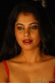 Bindu Madhavi Hot Stills