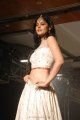 Bindu Madhavi Ramp Walk Hot Stills