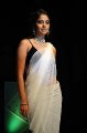 Bindu Madhavi Saree Hot Pics