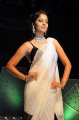 Bindu Madhavi Saree Hot Pics