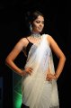 Bindu Madhavi Saree Hot Pics