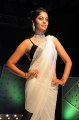 Bindu Madhavi Saree Hot Pics