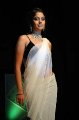 Bindu Madhavi Saree Hot Pics