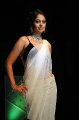 Bindu Madhavi Saree Hot Pics