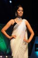 Bindu Madhavi Saree Hot Pics