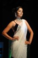 Bindu Madhavi Saree Hot Pics