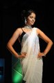 Bindu Madhavi Saree Hot Pics