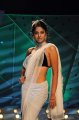 Bindu Madhavi Saree Hot Pics