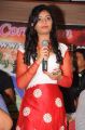 Actress Bindu Photos @ Trophy Model Production No.1 Press Meet