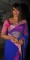 Bipasha Basu New Hot Pictures in Blue Shimmer Faux Georgette Saree