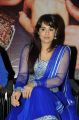 Mandy Takhar @ Biriyani Movie Audio Launch Stills