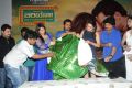 Biriyani Movie Audio Launch Stills