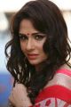 Actress Mandy Takhar in Biriyani Movie Latest Stills