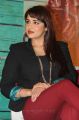 Actress Mandy Takhar @ Biriyani Movie Press Meet Stills
