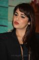 Actress Mandy Takhar @ Biriyani Movie Press Meet Stills