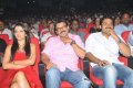 Bodyguard Audio Release Pictures