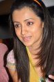 Actress Trisha @ Bodyguard Trailer Launch Pictures