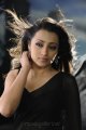 Trisha Hot in Black Saree Photos