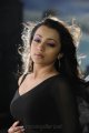 Trisha Hot in Black Saree Photos