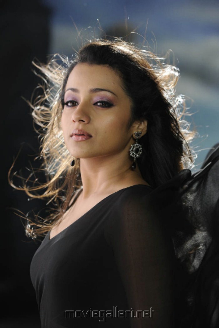 Trisha Black Saree Hot Photos Stills in Bodyguard | Moviegalleri.net