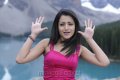 Bodyguard Trisha Hot Images