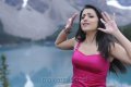 Bodyguard Trisha Hot Images