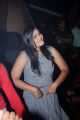 Tanusha @ Bollywood Nite with Tollywood Celebrities at Carbon Pub, Hyderabad