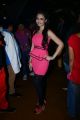Marina Ibrahim @ Bollywood Nite with Tollywood Celebrities at Carbon Pub, Hyderabad