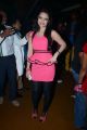 Marina Ibrahim @ Bollywood Nite with Tollywood Celebrities at Carbon Pub, Hyderabad