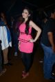 Marina Ibrahim @ Bollywood Nite with Tollywood Celebrities at Carbon Pub, Hyderabad