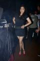 Parinidhi @ Bollywood Nite with Tollywood Celebrities at Carbon Pub, Hyderabad