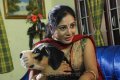 Actress Gayathri in Bommai Naigal Movie Stills