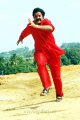 Actor Ravi Shankar in Bommali Movie Stills
