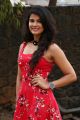 Actress Manisha Shree @ Bongu Movie Team Meet Photos