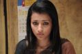 Actress Trisha in Boologam Movie Photos