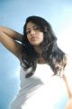 Actress Saara Deva in Boom Boom Kaalai Movie Stills
