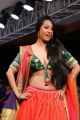Kashmira Shah at Hyderabad International Fashion Week 2012 Day 3 Photos