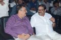 Brahmotsavam Audio Launch Stills