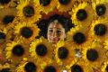 Actress Pragya Jaiswal in Brammanda Nayagan Movie Stills