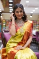Actress Payal Rajput @ Brand Mandir Wedding Saree Collection Launch Photos