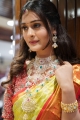 Actress Payal Rajput @ Brand Mandir Wedding Saree Collection Launch Photos
