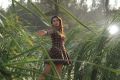 Breaking News Movie Heroine Bhanu Sree Photos