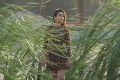 Breaking News Movie Heroine Bhanu Sree Photos