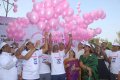 Breast Cancer Awerence Walk Stills
