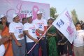 Breast Cancer Awerence Walk Stills