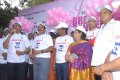 Breast Cancer Awerence Walk Stills