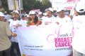 Breast Cancer Awerence Walk Stills