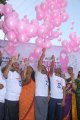 Breast Cancer Awerence Walk Stills