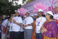 Breast Cancer Awerence Walk Stills