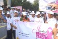 Breast Cancer Awerence Walk Stills